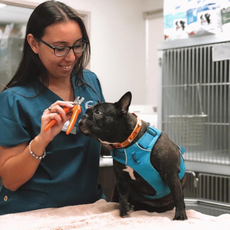 Maui Lani Veterinary Hospital Kahului, HI